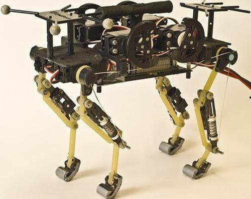 国产蝗虫仿生机器人视频,昆虫灵感下的智能创新之旅  第2张